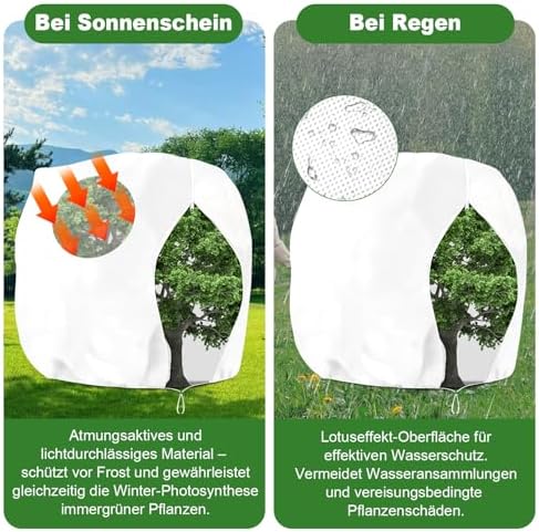 Žiemos augalų apsauga