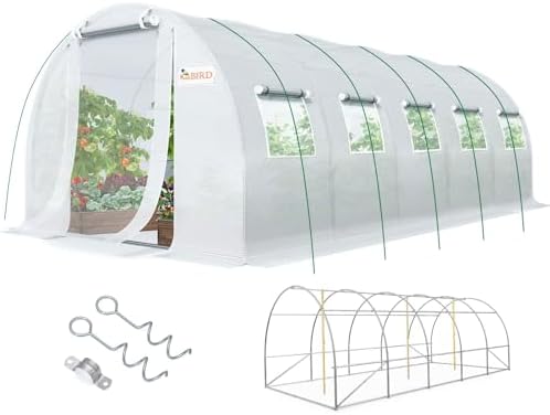 Didelis tunelinis šiltnamis