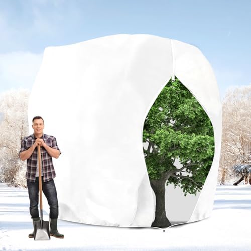 Žiemos augalų apsauga