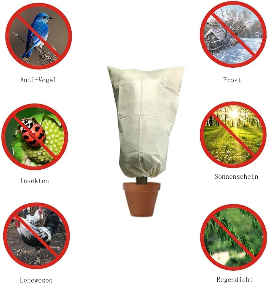 Augalų žiemos gaubtas