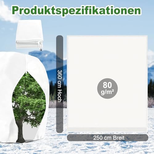 Žiemos augalų apsauga